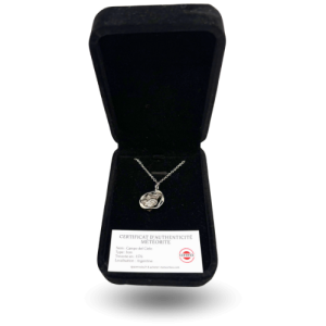 Pendentif colliers météorite -cercle-argente-avec-Campo-del-Cielo.png