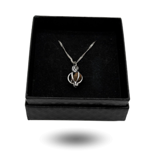 Collier argenté avec pendentif cage et NWA XXX