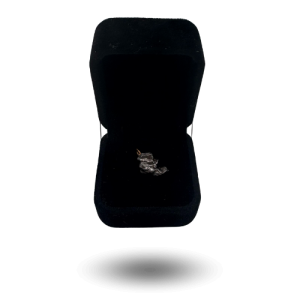 Pendentif Campo del Cielo brut – fermoir doré & écrin noir